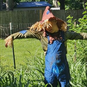 Iconic Scarecrow Costume from Target